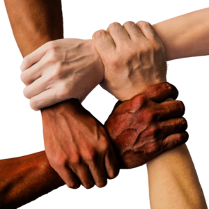 Diverse hands united together