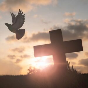 From Easter to Pentecost
