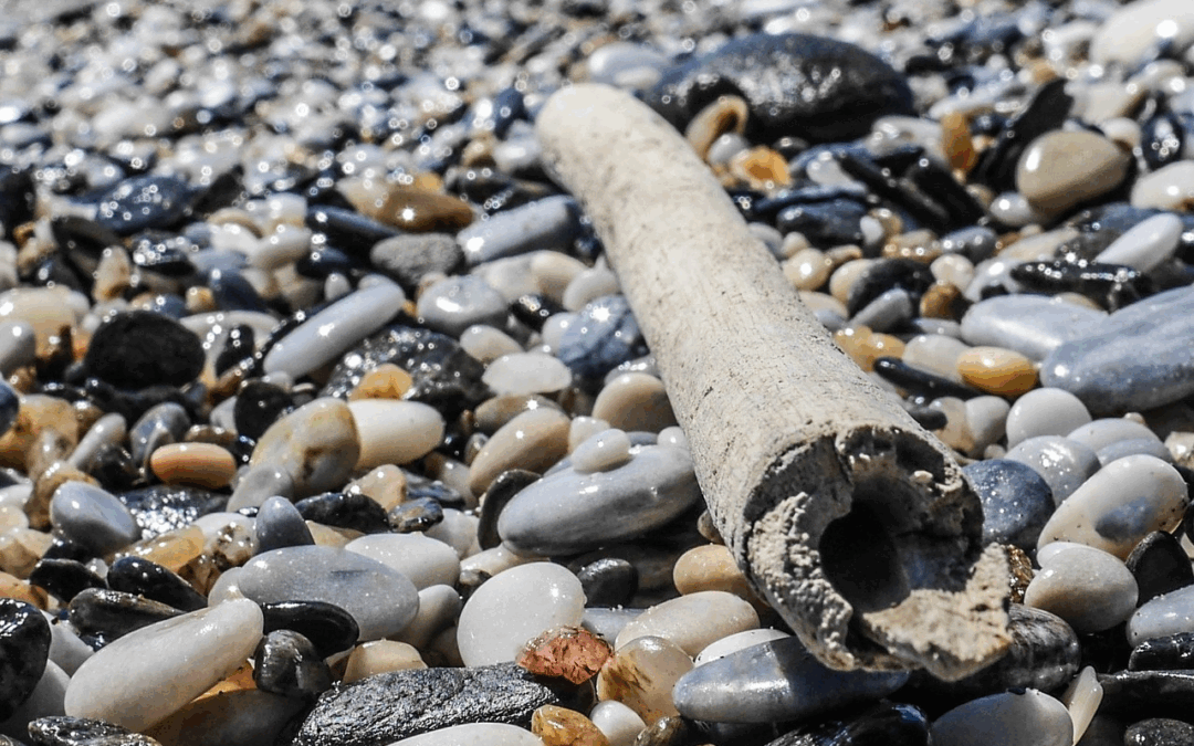 Sticks and Stones on a beach