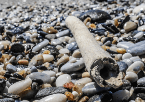 Sticks and Stones on a beach