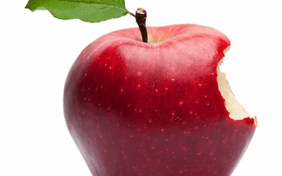 Who are we? Earthing our identity in Genesis Chapter 3: Friends and companions, then exiles